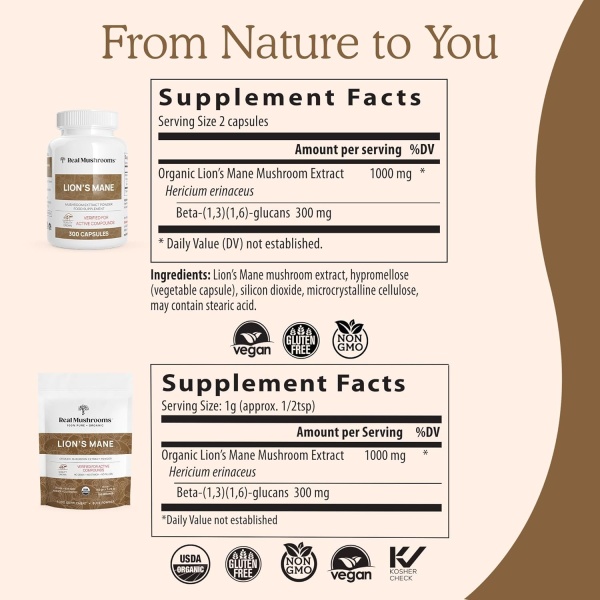 Lions Mane Brain and Focus Supplements - Cápsulas de extracto en polvo de hongos - Suplemento sin OMG y sin gluten para una mejor salud cognitiva - Image 7