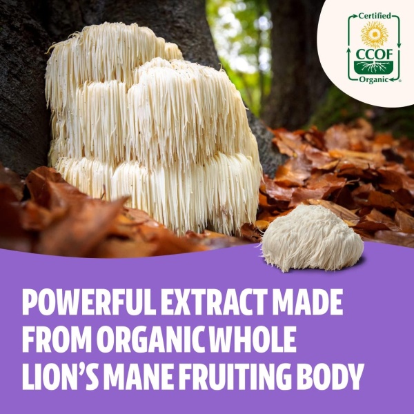 FreshCap Lions Mane Suplemento Cápsulas – Ayurveda Premium USDA Organic Dual Extracted, Sin OMG, sin gluten, vegano. - Image 3