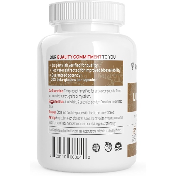 Lions Mane Brain and Focus Supplements - Cápsulas de extracto en polvo de hongos - Suplemento sin OMG y sin gluten para una mejor salud cognitiva - Image 3
