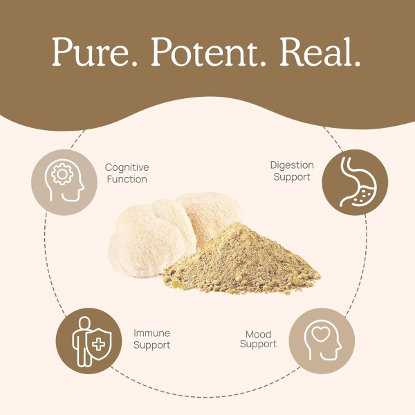 Lions Mane Brain and Focus Supplements - Cápsulas de extracto en polvo de hongos - Suplemento sin OMG y sin gluten para una mejor salud cognitiva - Image 4