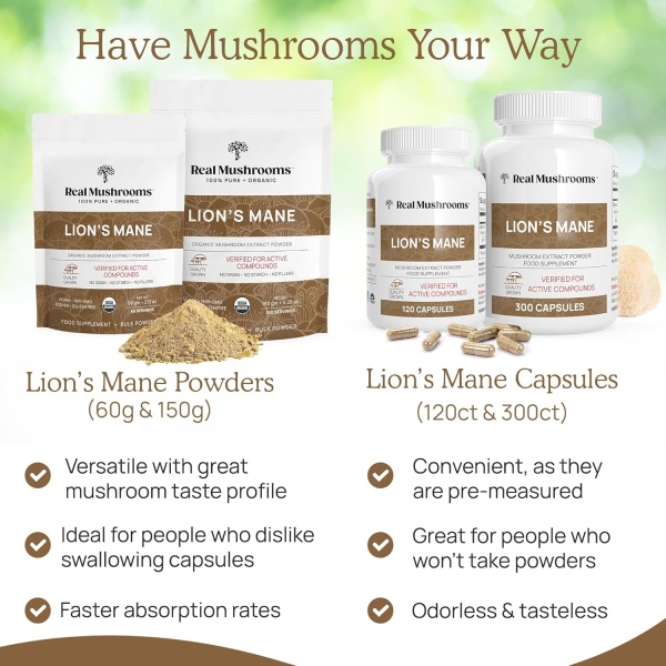 Lions Mane Brain and Focus Supplements - Cápsulas de extracto en polvo de hongos - Suplemento sin OMG y sin gluten para una mejor salud cognitiva - Image 6