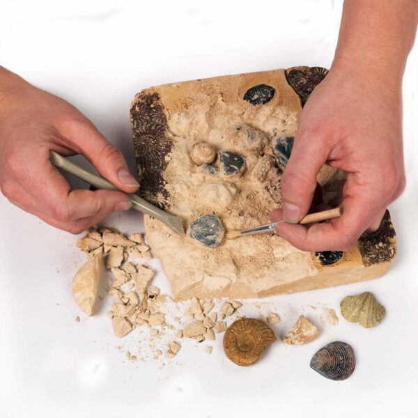 National Geographic Mega Kit Fossil Dig - Excavar 15 Fósiles - Image 4