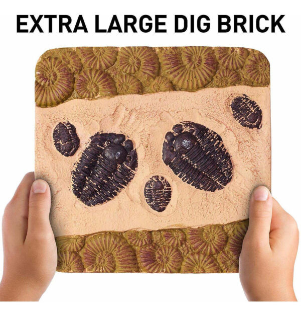 National Geographic Mega Kit Fossil Dig - Excavar 15 Fósiles - Image 5