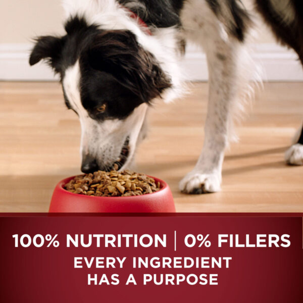 Comida Seca Purina One True Instinct  - 36 Lb - Image 8