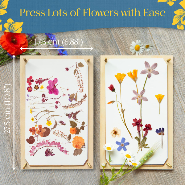 Kit De Prensa De Flores Grande Para Adultos 27.4 X 17.5 Cm - Image 3