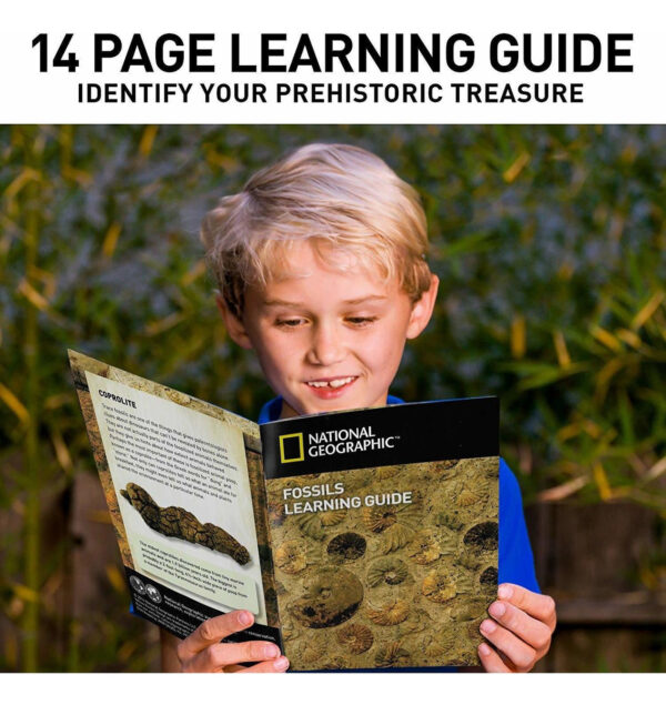 National Geographic Mega Kit Fossil Dig - Excavar 15 Fósiles - Image 6