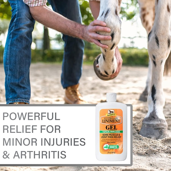 Absorbine - Linimento veterinario en gel, frotación analgésica tópica para el alivio del dolor muscular, dolor de articulaciones y artritis, presentación de 12 onzas - Image 10