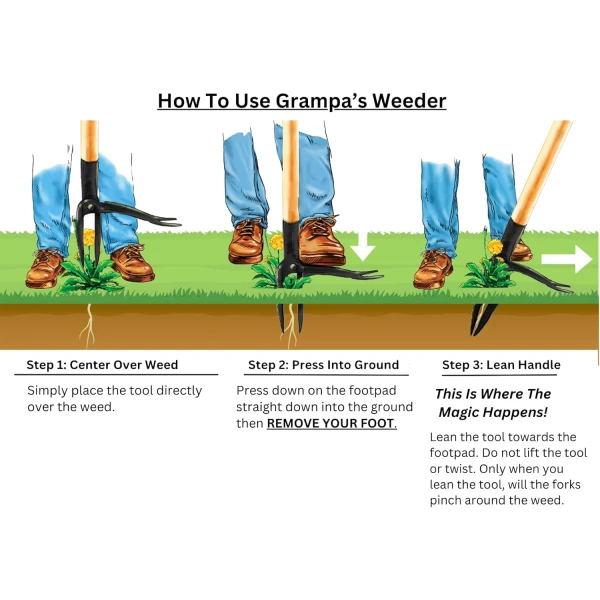 Grampa's Weeder - La herramienta original de extracción de malezas con mango largo - Fabricado con bambú real y diseño de cabeza de acero de 4 garras - Elimina fácilmente las malas hierbas sin doblarse, tirar o arrodillarse - Image 2