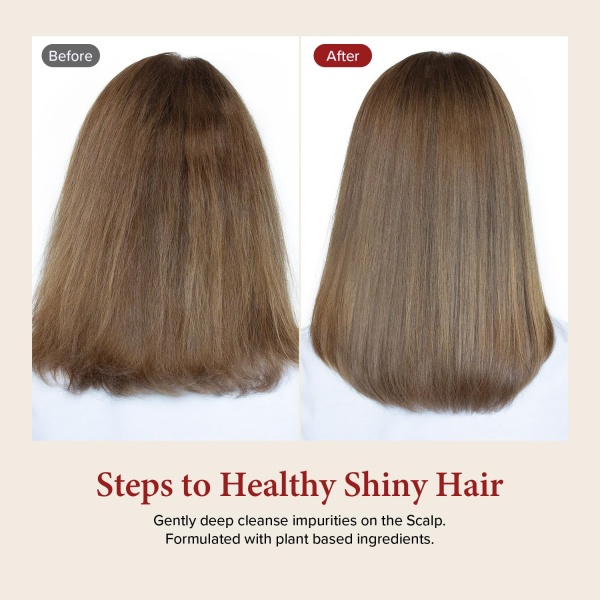 Kundal Honey&Macadamia Hydro-Intensive Protein Premium Nature Hair Shampoo [English Rose] Sin sulfato - Image 2