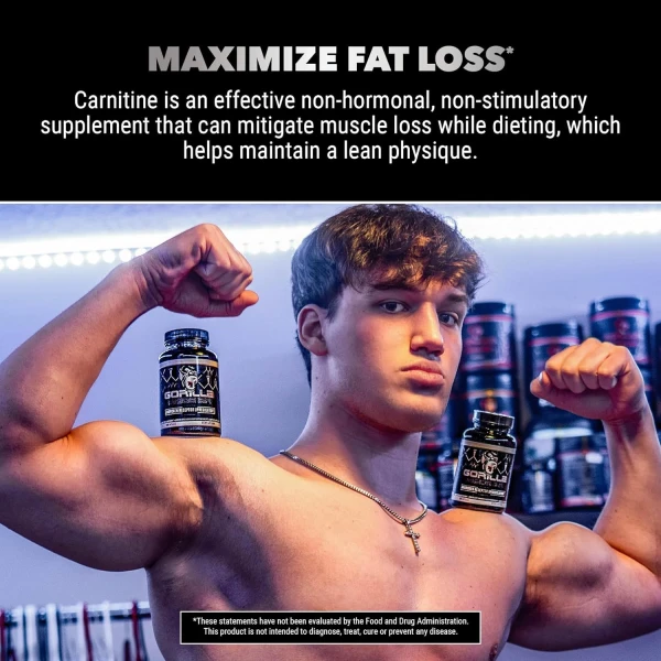 Gorilla Mode AR Carnitina 750mg Cápsulas – Receptor de andrógenos Upregulator / Aumenta la energía celular - Image 5