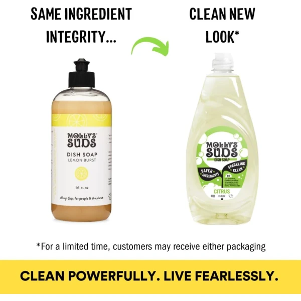 Molly's Suds Jabón líquido para platos | Ingredientes limpios y simples | Potencia de fregado extra | Aroma cítrico, 24 onzas – Paquete de 2 - Image 2