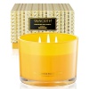 96NORTH - Vela de lujo de Palo Santo | Vela grande de 3 mechas | Hasta 50 horas de tiempo de combustión | Cera de soja 100% natural | Velas estéticas de aromaterapia relajantes | Regalo de