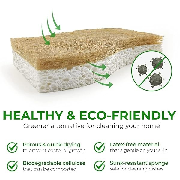AIRNEX - Paquete de 24 esponjas naturales de cocina, biodegradables, compostables, celulosa y coco, esponjas ecológicas para platos - Image 5