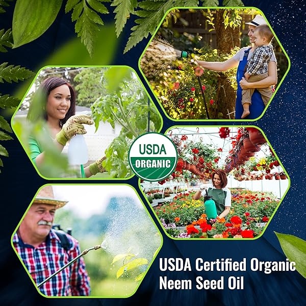 Aceite de neem premium virgen, prensado en frío, 100% puro, 8 FL. Oz. - Image 9