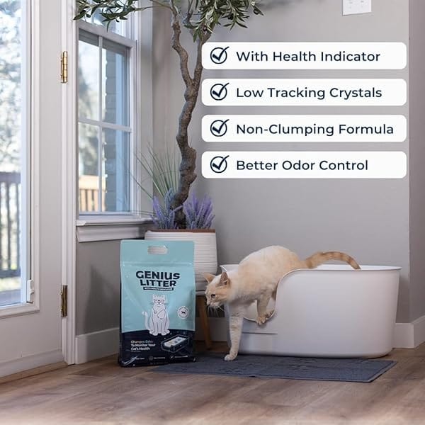 Alpha Paw - Genius - Arena para gatos, indicador de salud de 5 colores, eliminación de olores, antiadherente, cristales ligeros, no se aglupa, alta absorción, sin perfume, 6 libras - Image 3