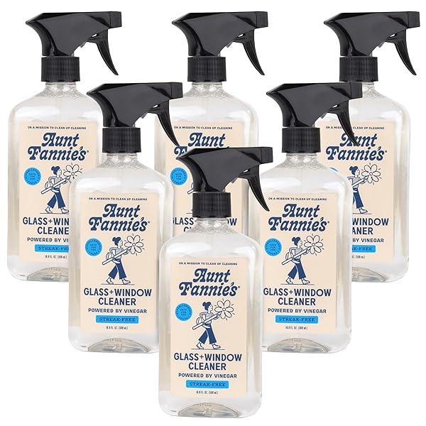 Aunt Fannie's Lavado de vinagre de limpieza de vidrio y ventanas, limpiador de vidrio natural sin rayas, 16.8 onzas (paquete de 6)