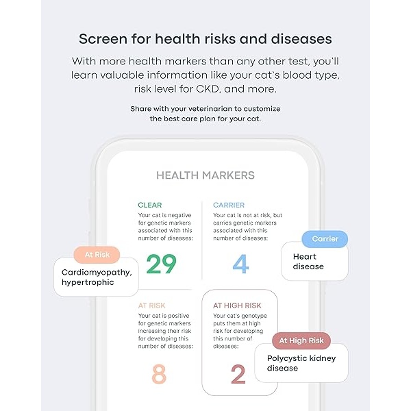 Basepaws Prueba de salud dental para gatos | Proporciona puntuaciones de riesgo para condiciones dentales: enfermedad periodontal, mal aliento, reabsorción de dientes | Informe proporciona atención médica personalizada - Image 3
