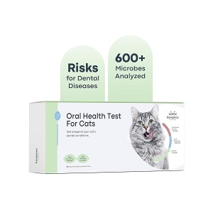 Basepaws Prueba de salud dental para gatos | Proporciona puntuaciones de riesgo para condiciones dentales: enfermedad periodontal, mal aliento, reabsorción de dientes | Informe proporciona atención médica personalizada