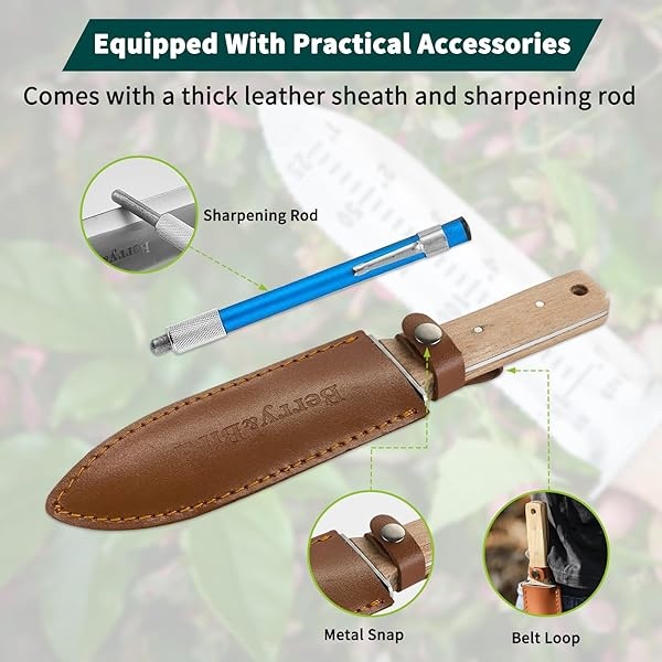 Berry&Bird Hori Hori - Cuchillo de jardín con hoja dentada de acero inoxidable de 7 pulgadas, herramienta de jardinería japonesa con funda de piel y piedra de afilar para desmalezar, excavar, cortar y plantar - Image 6