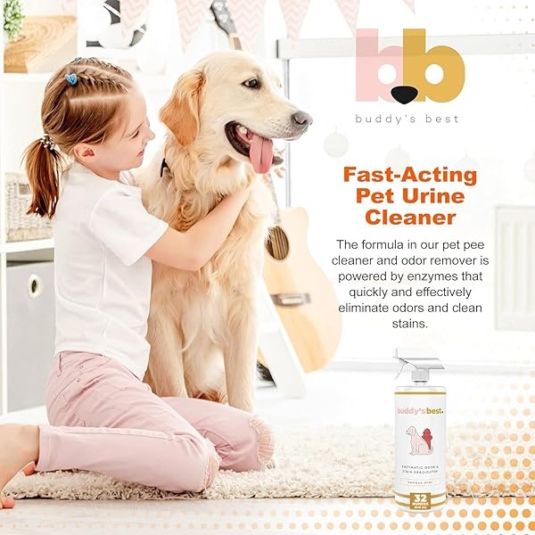 Buda 's Best Enzymatic Eliminador de olores y Manchas, Menta de bambú, Limpiador enzimático y Desodorante para Mascotas, 32 FL oz Seguro en Todas Las Superficies - Image 6