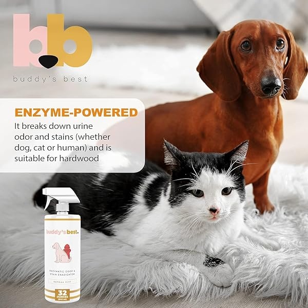 Buda 's Best Enzymatic Eliminador de olores y Manchas, Menta de bambú, Limpiador enzimático y Desodorante para Mascotas, 32 FL oz Seguro en Todas Las Superficies - Image 7