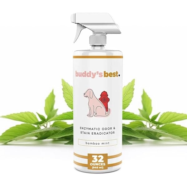 Buda 's Best Enzymatic Eliminador de olores y Manchas, Menta de bambú, Limpiador enzimático y Desodorante para Mascotas, 32 FL oz Seguro en Todas Las Superficies