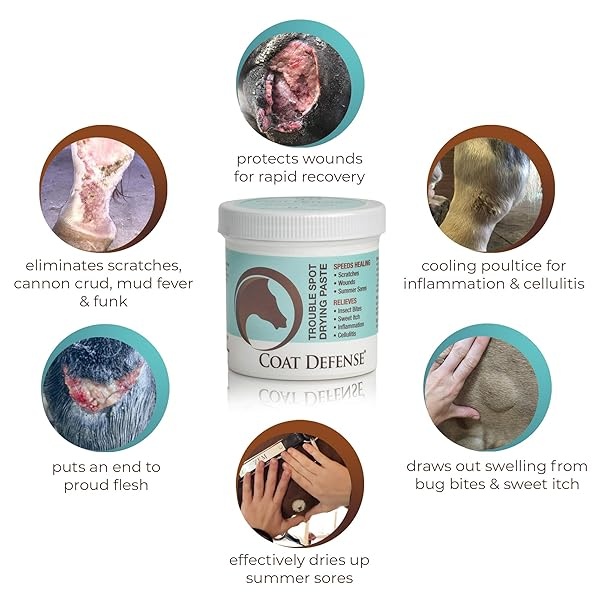 COAT DEFENSE 793597086488 Trouble Spot Dry Paste 10oz - Image 3