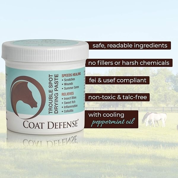 COAT DEFENSE 793597086488 Trouble Spot Dry Paste 10oz - Image 4