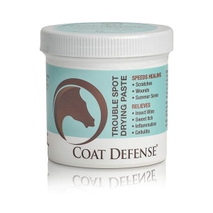 COAT DEFENSE 793597086488 Trouble Spot Dry Paste 10oz