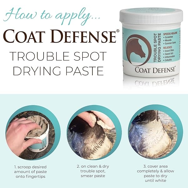 COAT DEFENSE 793597086488 Trouble Spot Dry Paste 10oz - Image 5