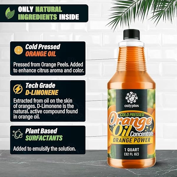 Calyptus concentrado de aceite de naranja natural prensado en frío | limpiador y desengrasante de cítricos multipropósito | diluye hasta 16 galones | hogar y al aire libre, 32 onzas - Image 3