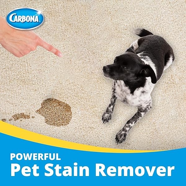 Carbona 2 en 1 Oxy-Powered removedor de manchas y olores de mascotas con tecnología de espuma activa, cabezal de cepillo de esponja y cerdas | Fórmula de eliminación de manchas | 27.5 onzas líquidas, paquete de 2 - Image 4