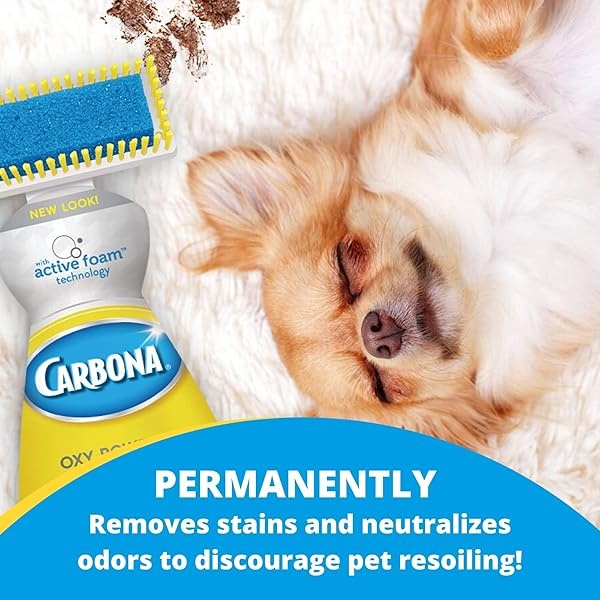 Carbona 2 en 1 Oxy-Powered removedor de manchas y olores de mascotas con tecnología de espuma activa, cabezal de cepillo de esponja y cerdas | Fórmula de eliminación de manchas | 27.5 onzas líquidas, paquete de 2 - Image 6