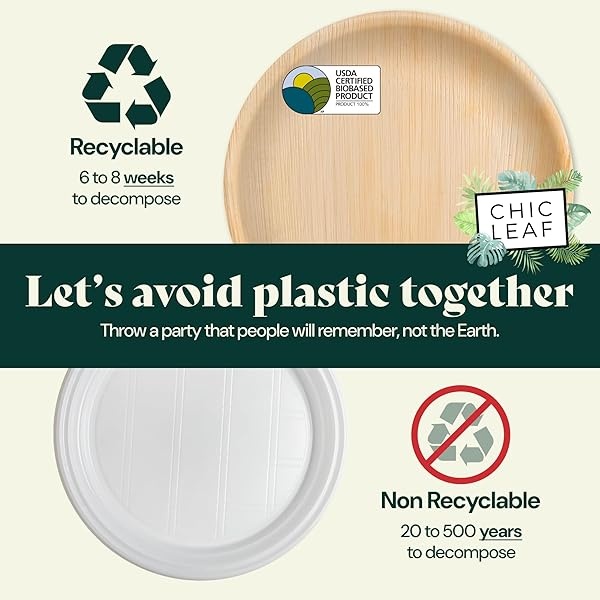 Chic Leaf Platos de hoja de palma desechables de bambú como paquete redondo de 10 pulgadas (100 unidades) – Platos de fiesta 100% compostables y biodegradables – Platos de boda resistentes y ecológicos - Image 4