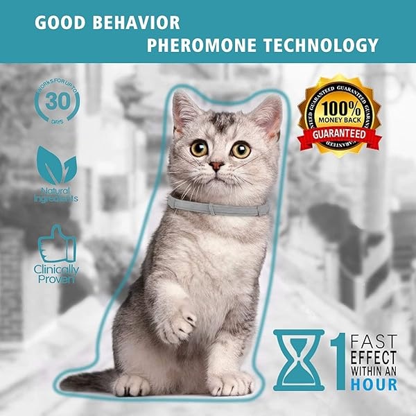 Collar calmante Andrimax para gatos y gatitos, alivia la ansiedad o el estrés, fórmula de feromonas naturales, no dañina, resistente al agua, para tu mascota, collar de hasta 15 pulgadas, se adapta a gatos - Image 5