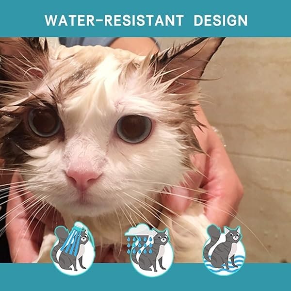 Collar calmante Andrimax para gatos y gatitos, alivia la ansiedad o el estrés, fórmula de feromonas naturales, no dañina, resistente al agua, para tu mascota, collar de hasta 15 pulgadas, se adapta a gatos - Image 6
