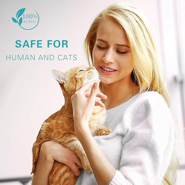 Collar calmante Andrimax para gatos y gatitos, alivia la ansiedad o el estrés, fórmula de feromonas naturales, no dañina, resistente al agua, para tu mascota, collar de hasta 15 pulgadas, se adapta a gatos - Image 8