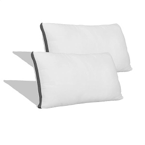 Coop Home Goods - Protector de almohada impermeable con cierre para almohadas de espuma viscoelástica - Paquete de 2 fundas de almohada estándar - tela suave transpirable y lavable a máquina - Tamaño estándar (20 x 26)
