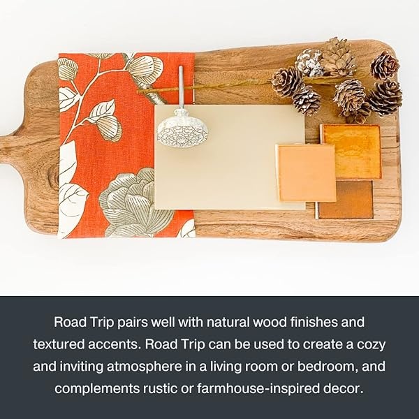 Country Chic Paint - Pintura todo en uno estilo gis para muebles, decoración del hogar, armarios, manualidades, pintura mate respetuosa con el medio ambiente, viaje por carretera [beige] Pinta 16 - Image 7