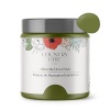 Country Chic Paint - Pintura todo en uno estilo gis para muebles, decoración del hogar, armarios, manualidades, respetuosa con el medio ambiente, preparación mínima de superficies, pintura mate multisuperficie - Jardín secreto [verde] - Pinta (16 onzas)