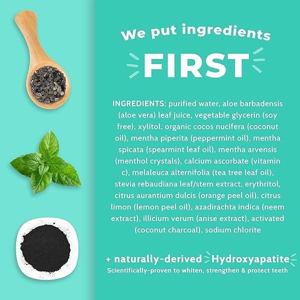 Dr. Brite Mint Whitening Mouthwash (2-Pack) | Whitens with Activated Charcoal | Vegan | Natural & Nourishing Ingredients | Alcohol & Gluten Free | Promotes Healthy Gums | Fluoride Free - Image 3