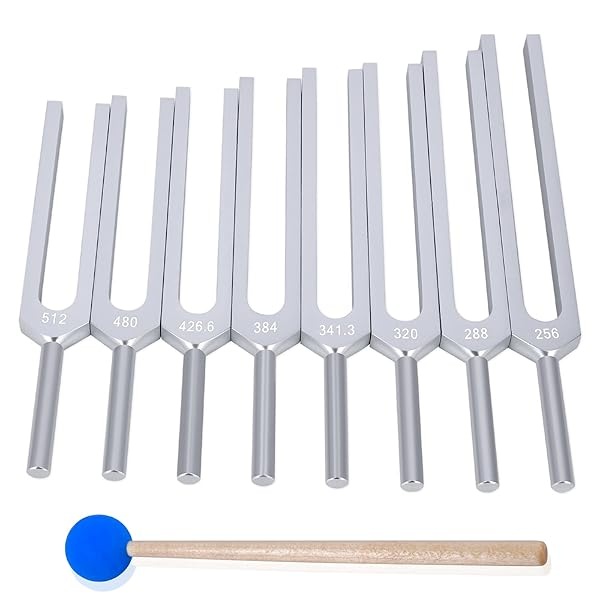 EASTROCK - Juego de tenedores de afinación con martillo de silicona, nervio de grado clínico/sensorial para una curación perfecta (8 unidades) - Image 5