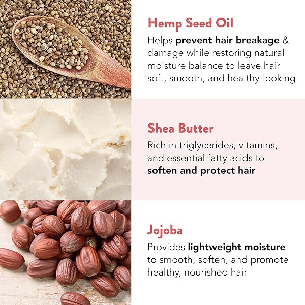 Ethique - Barra acondicionador profundo para cabello muy seco, demasiado delicioso, acondicionador natural profundo para cabello dañado, pH equilibrado, base vegana ecológica, 100% compostable y cero residuos 2.5 onzas - Image 4