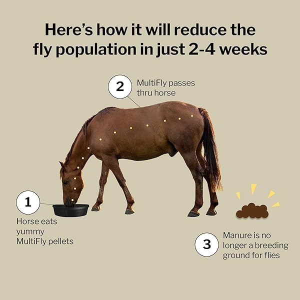Formula 707 MultiFly - Pellets de Control de Moscas para Caballos - Reducción de población de Moscas Sabrosa y Segura (Cubo de 10 Libras) - Image 4