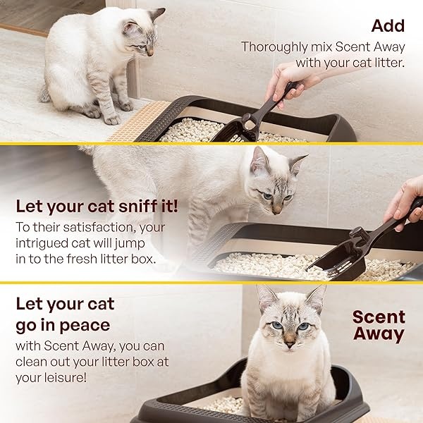 Fragent Away - Desodorizador de arena para gatos sin fragancia con carbón activo (paquete de 1) - Image 10