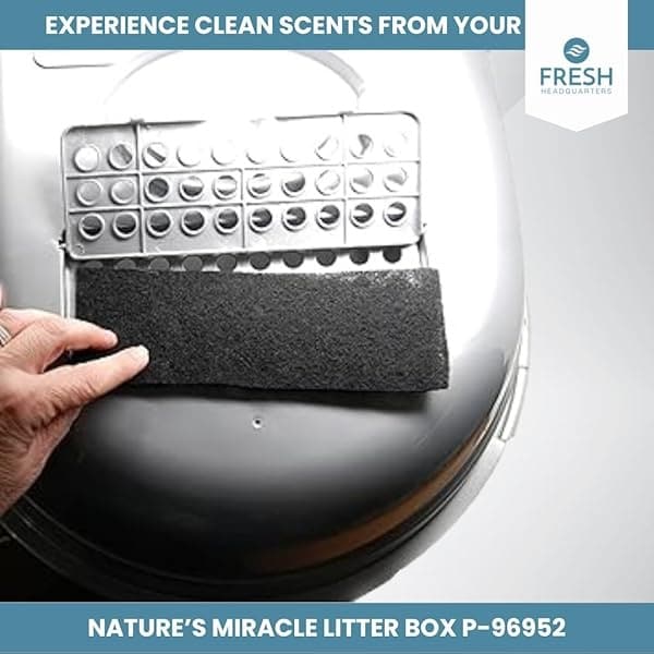 Fresh Headquarters - Filtros de basura de repuesto para caja de arena para gatos Natures Miracle – Filtros de carbón activado eliminan hasta el 99% de los olores de la caja de basura - 8 pulgadas x 3 pulgadas (6 unidades) - Image 6