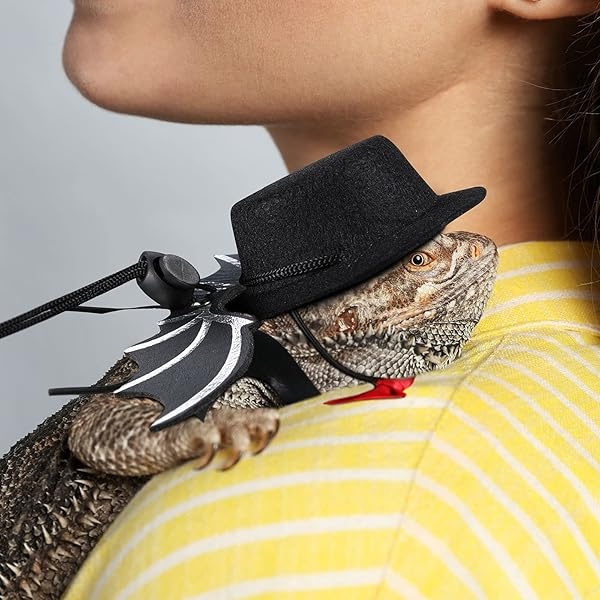 Frienda Juego de 6 correas de lagarto ajustables con diseño de dragón barbudo, arnés para reptiles en 3 tamaños con alas de murciélago, adorable sombrero y pajarita para animales pequeños de dragón barbudo, lagarto reptil, anfibio, 2 colores - Image 5