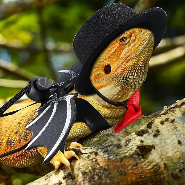 Frienda Juego de 6 correas de lagarto ajustables con diseño de dragón barbudo, arnés para reptiles en 3 tamaños con alas de murciélago, adorable sombrero y pajarita para animales pequeños de dragón barbudo, lagarto reptil, anfibio, 2 colores - Image 6