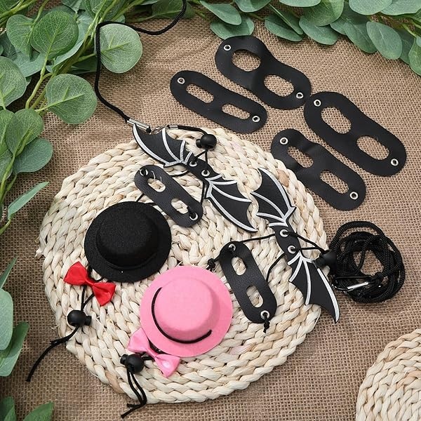 Frienda Juego de 6 correas de lagarto ajustables con diseño de dragón barbudo, arnés para reptiles en 3 tamaños con alas de murciélago, adorable sombrero y pajarita para animales pequeños de dragón barbudo, lagarto reptil, anfibio, 2 colores - Image 8