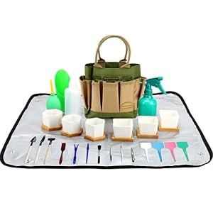 G GOOD GAIN Kit de herramientas suculentas con bolsa, kit de 42 piezas suculentas, portador de herramientas de jardín, juego de 6 suculentas macetas de jardín con bandeja de bambú, maceta suculenta de cerámica, juego de herramientas de alfombrilla de trabajo para trasplantar